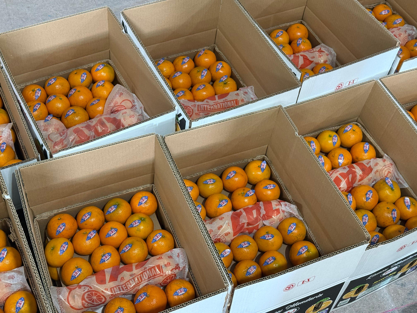 Farm-Fresh Orange 10Kg Box Standard Size Export Quality