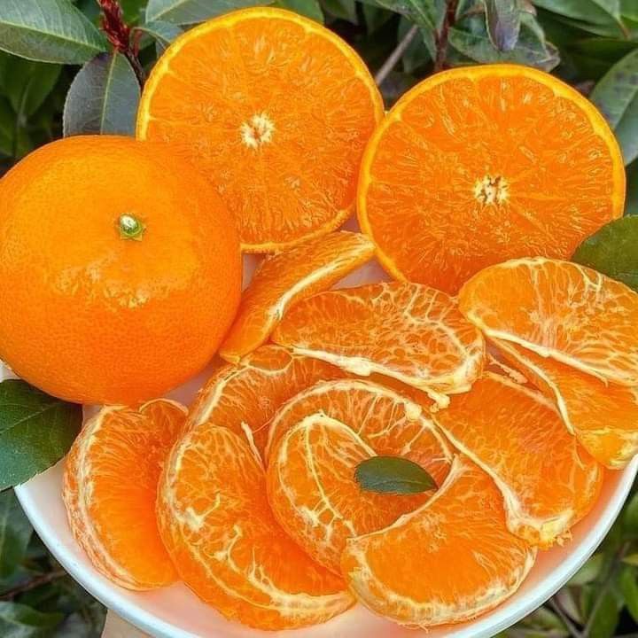 Farm-Fresh Kinnow 10kg Buy 5 Box Export Size Quality