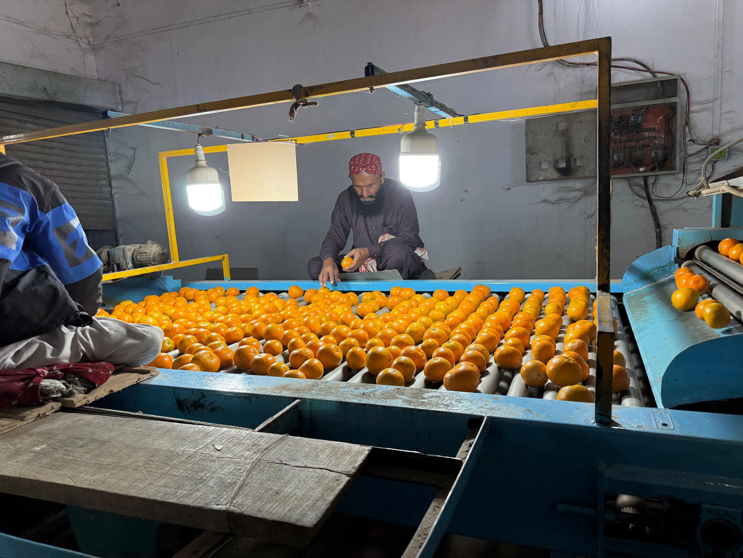 Farm-Fresh Kinnow 10kg Buy 5 Box Export Size Quality